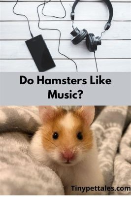 do hamsters like music in the way humans do