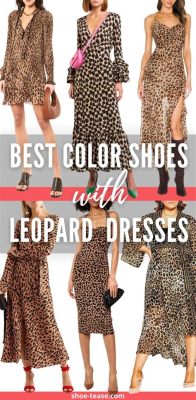 what color shoes to wear with leopard print dress: should we consider the occasion and personal style?